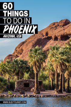 palm trees and mountains with the words 60 things to do in phoenx arizona usa