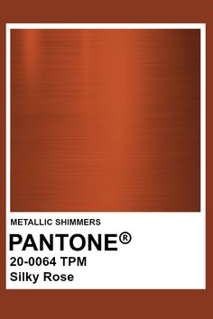 an orange metallic background with the words pantonee and silky rose in white letters