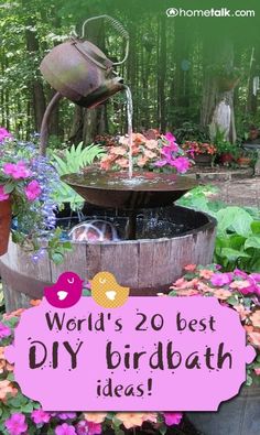 the words world's 20 best diy birdbath ideas