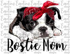 a boston terrier dog with a red bandana on its head and the words boston mom