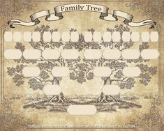 an old family tree is shown in this image