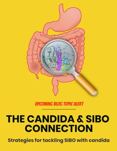 The SIBO Candida Connection (with 7 Tips on treating SIBO with Candida) | The SIBO Diaries Stomach Health, My Healing Journey, Candida Overgrowth, Candida Diet, Leaky Gut, Blog Topics, Functional Medicine, Eat Right, Healing Journey