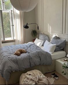 a dog laying on top of a bed in a room with white walls and windows