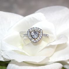 a diamond ring sitting on top of a white flower