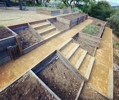 an outdoor garden with steps leading up to the top and bottom part of the planter boxes