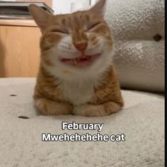 an orange and white cat laying on top of a bed with its eyes closed smiling