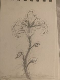 a pencil drawing of a flower on a sheet of paper