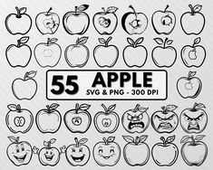 55 apple svg and png - 300 dpi