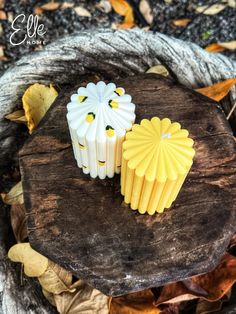 two yellow and white candles sitting on top of a wooden table surrounded by leaves in the fall