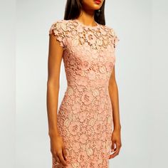 New With Tags - Beautiful Shoshanna Pink/Coral Lace Full-Length Gown. Cap Sleeves. Fits True To Size. Never Worn. Color Is More Coral Than Pink And Darker Than Shown On The Professional Photos. Perfect For An Outdoor Black Tie Wedding. Or Any Summer Black Tie Event. Formal Scalloped Lace Evening Dress For Spring, Formal Spring Evening Dress With Scalloped Lace, Formal Evening Dress With Scalloped Lace For Spring, Pink Midi Lace Dress With Scalloped Lace, Pink Midi-length Lace Dress With Scalloped Lace, Pink Midi Lace Dress With Scalloped Detail, Pink Lace Midi Dress With Scalloped Lace, Pink Lace Feminine Gown, Feminine Pink Lace Gown