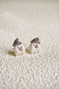 two small white birds sitting on top of a carpet