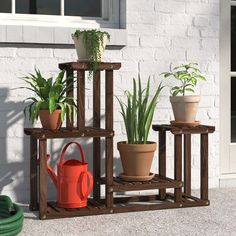 three potted plants are sitting next to each other