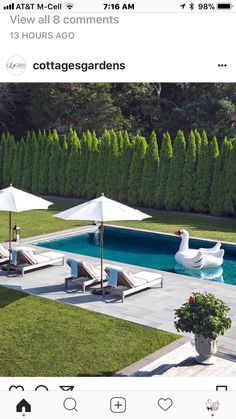 an instagram photo of a pool with lounge chairs and umbrellas