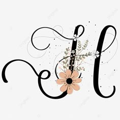 the letter j is decorated with flowers and leaves, font, alphabet, letters png and psd