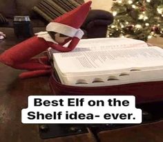 an elf reading a book with the caption best elf on the shelf idea ever