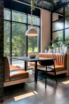 a living room filled with furniture next to large windows and potted plants on the wall