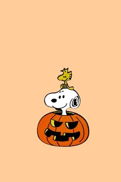 a cartoon dog sitting on top of a pumpkin