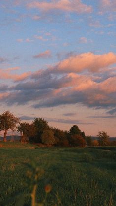 a field with trees and clouds in the background