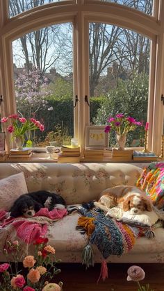 two dogs sleeping on a couch in front of a large window with pink flowers and greenery