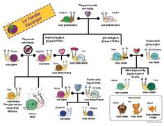 a family tree is shown with many different things on it, including snails and snails