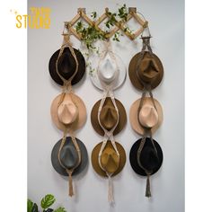 several hats hanging on a white wall with plants in the corner and one has a plant growing out of it