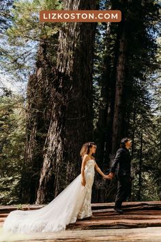 a bride and groom hold hands in front of the giant redwood trees at their wedding