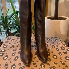 Boho Style, Never Worn, Soul Society, Chocolate In Color Super Sleek Soul Society, Sole Society, Leather Pulls, Moto Boots, Tall Boots, Boho Style, Boho Fashion, Sleek, Women Shoes