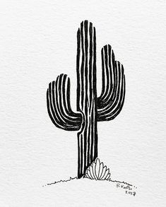 a black and white drawing of a cactus