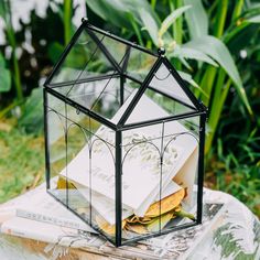 a glass box filled with books and papers on top of a piece of wood next to plants