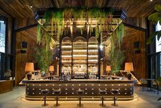 a bar with plants hanging from the ceiling and lights on it's sides, in front of two large windows