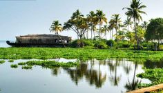 there is a boat on the water in the middle of the grass and palm trees