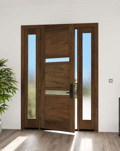 a wooden door with glass panels in the middle and side panel on the other side, next to a potted plant