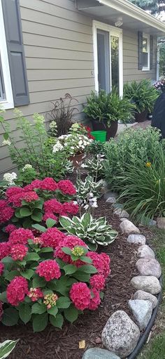 a garden with pink flowers and green plants next to a house on the side walk