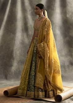 Tamil Photography, घाघरा चोली, Orang India, Pengantin India, Organza Lehenga, Indian Outfits Lehenga, Organza Blouse, Green Lehenga, Gaun Fashion