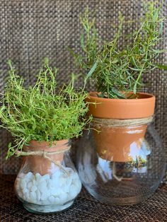 two vases with plants in them sitting on a table