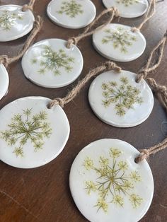 small white plates with green plants on them hanging from twine strings and jumbo - string