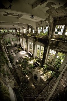 an abandoned building with lots of windows and plants growing out of it