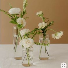 three clear vases with white flowers in them