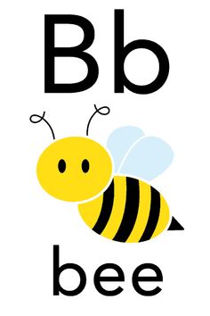 the letter b is for bee