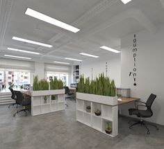 an office with two desks and plants in them