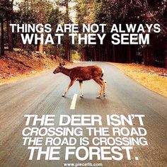 a deer crossing the street in front of a sign that says, las cosas no son sempre como parecen