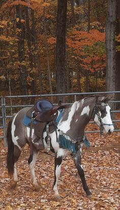 a horse that is standing in the leaves