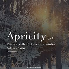 the words apricity are written in white on a black background with trees and snow