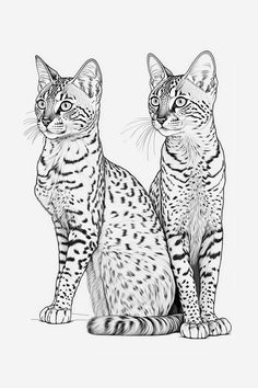 two cats sitting next to each other on top of a white surface in front of a black and white background