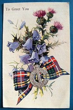 an old postcard with purple flowers and plaid ribbon on it's front, says to greet you