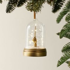 a christmas ornament hanging from a tree with lights in it's glass dome