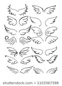 a drawing of different wings and swirls on a white background with the words shutterstock com 101387988