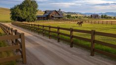 a horse is grazing on the grass behind a fenced in area with a house