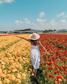 a woman in a white dress and straw hat walking through a field of red and yellow flowers