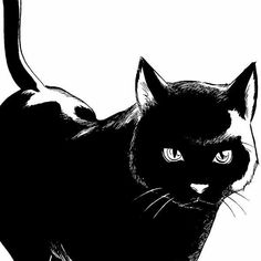 a black and white drawing of a cat with big eyes looking at the camera while walking